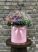 Цветочная композиция из Гипсофила и Розы в шляпной коробке в Старице