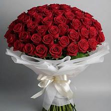 Букет 101 Красная роза Блэк Мэджик в Старице