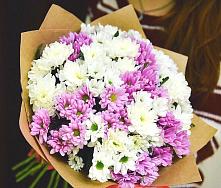 Букет цветов из:  Хризантемы #REPLACE_PRED# Старице