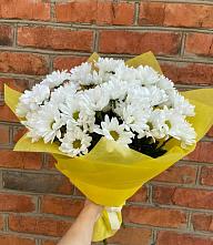 Букет цветов из:  Хризантемы #REPLACE_PRED# Старице