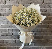 Букет цветов из:  Ромашки в Старице