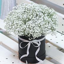 Цветочная композиция из Гипсофила в шляпной коробке #REPLACE_PRED# Старице