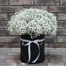 Цветочная композиция из Гипсофила в шляпной коробке #REPLACE_PRED# Старице