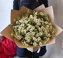 Букет цветов из:  Ромашки #REPLACE_PRED# Старице
