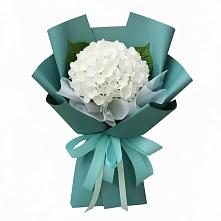 Букет цветов из:  Гортензия в Старице